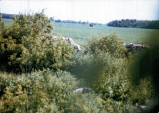 1981 Shiels Farm in Ontario