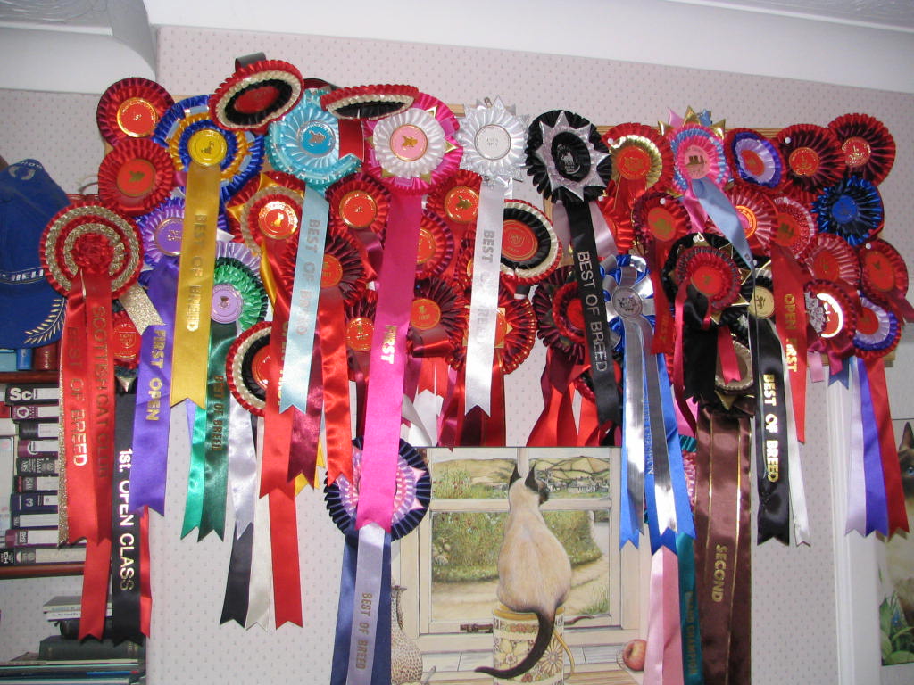 Ribbons