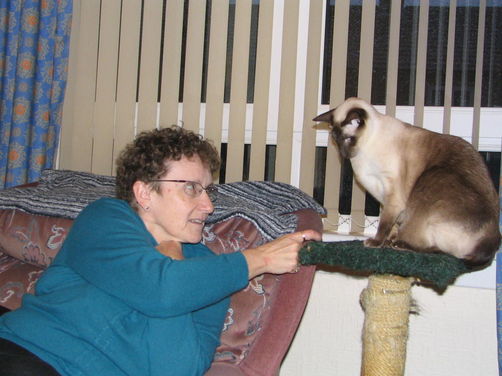 Judy Cats
